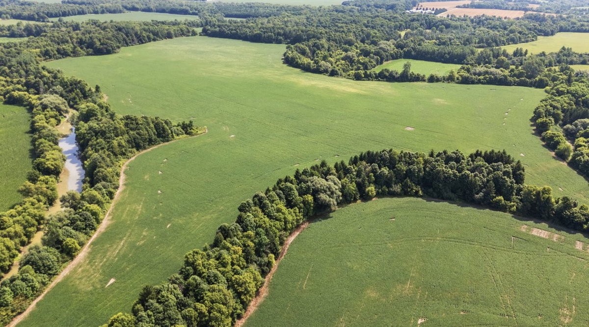 🚨 Attention 🚨 
Farmers in the Nairn, Ontario area looking to increase their workable acres? Check out this farm that is for sale! 190 acres workable. realtor.ca/real-estate/28…