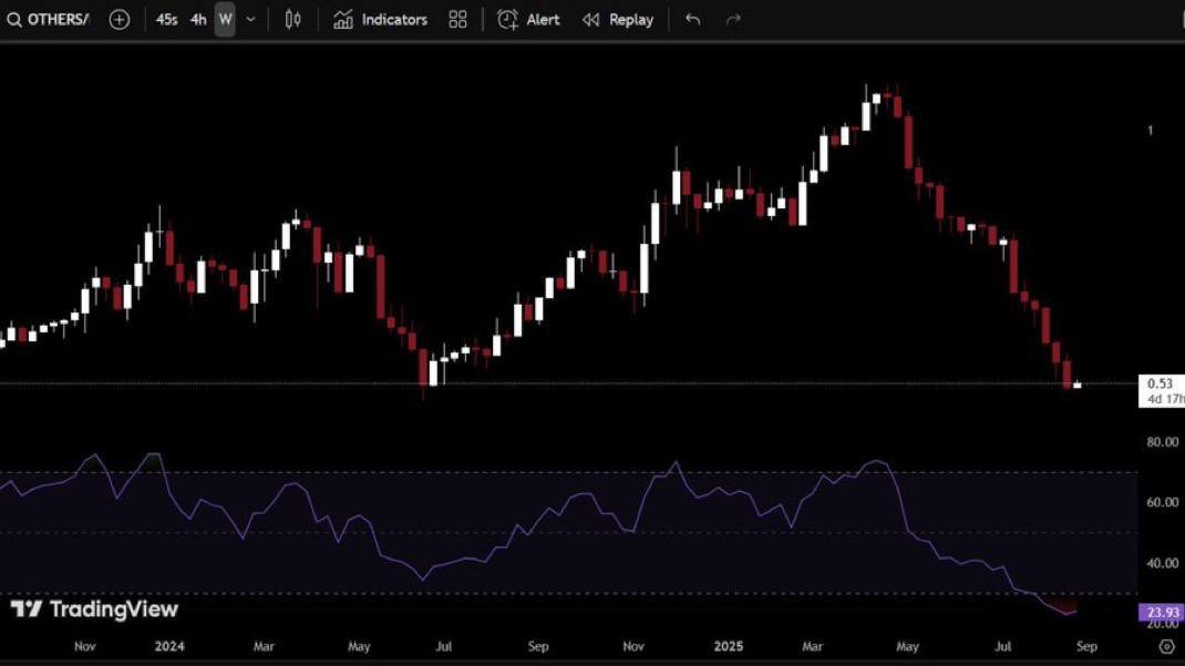 ALTCOINS ARE NOW THE MOST OVERSOLD EVER.

BIGGEST ALTSEASON ABOUT TO START