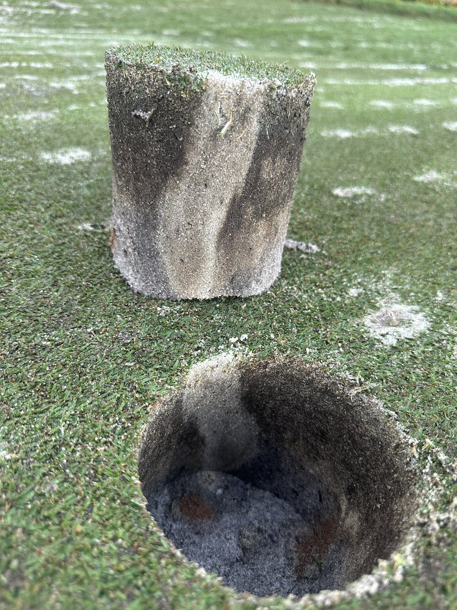 Chase Sbarro (@chase_dryject) on Twitter photo Getting after it today at The Estuary at Gray Oaks with a Double MaXimus application.
Pictures of before & after shown & the sweet sand columns being achieved.
Shout out to <a href="/ECoastTurf/">Matt Spatara</a> for lending us an operator for the next 3 days! 🤝
<a href="/FESbarro/">Frank E Sbarro</a>
#DryJect
#PoundSand Getting after it today at The Estuary at Gray Oaks with a Double MaXimus application.
Pictures of before & after shown & the sweet sand columns being achieved.
Shout out to <a href="/ECoastTurf/">Matt Spatara</a> for lending us an operator for the next 3 days! 🤝
<a href="/FESbarro/">Frank E Sbarro</a>
#DryJect
#PoundSand