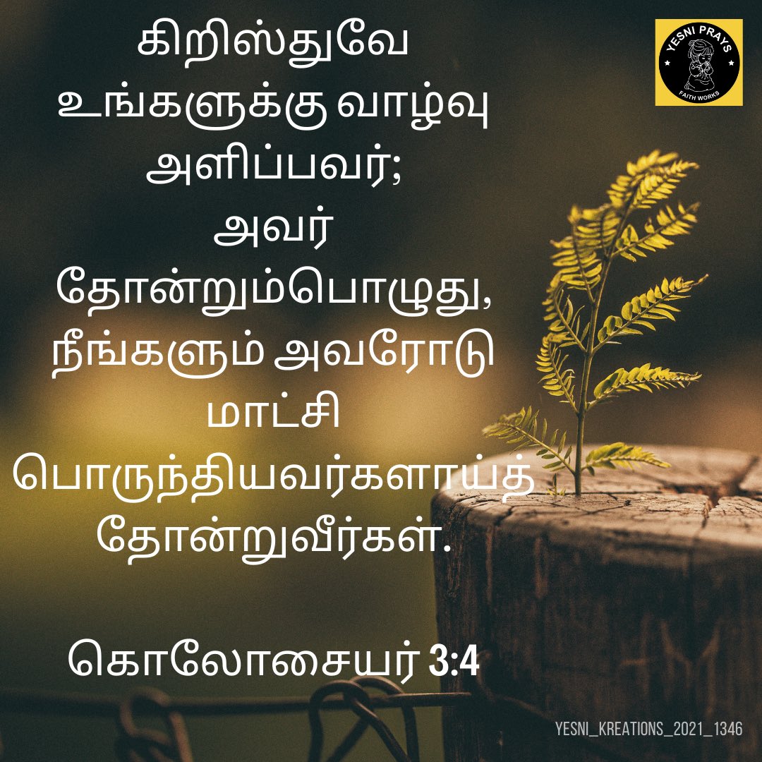 Tweet media one