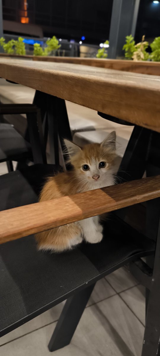 Işığı gören geliyor buluşmaya