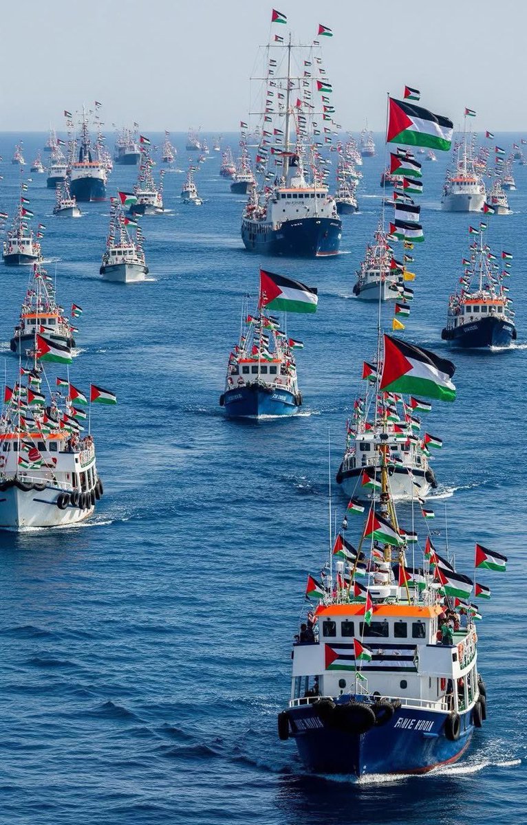 Form 🇪🇸 to 🇵🇸!

If u see this pic, Reply with 🇵🇸🍉 or even a dot .