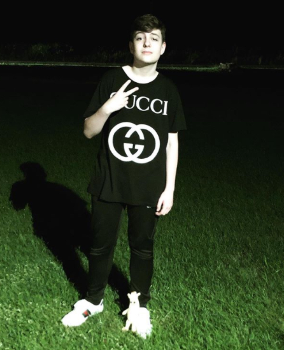 Hamoodle tweet media