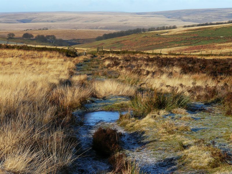ExmoorSociety's tweet photo. Explore Larkbarrow &amp; Three Combes Foot 🌿

Join us on Thursday 11th September, for a stunning guided walk exploring the moorland around Larkbarrow. Dogs are very welcome for this 5-mile stroll starting at 11am. Book your place below:
https://t.co/lVcnXzH6KY

📸 @holnicoteNH https://t.co/wUxwYjEGcB