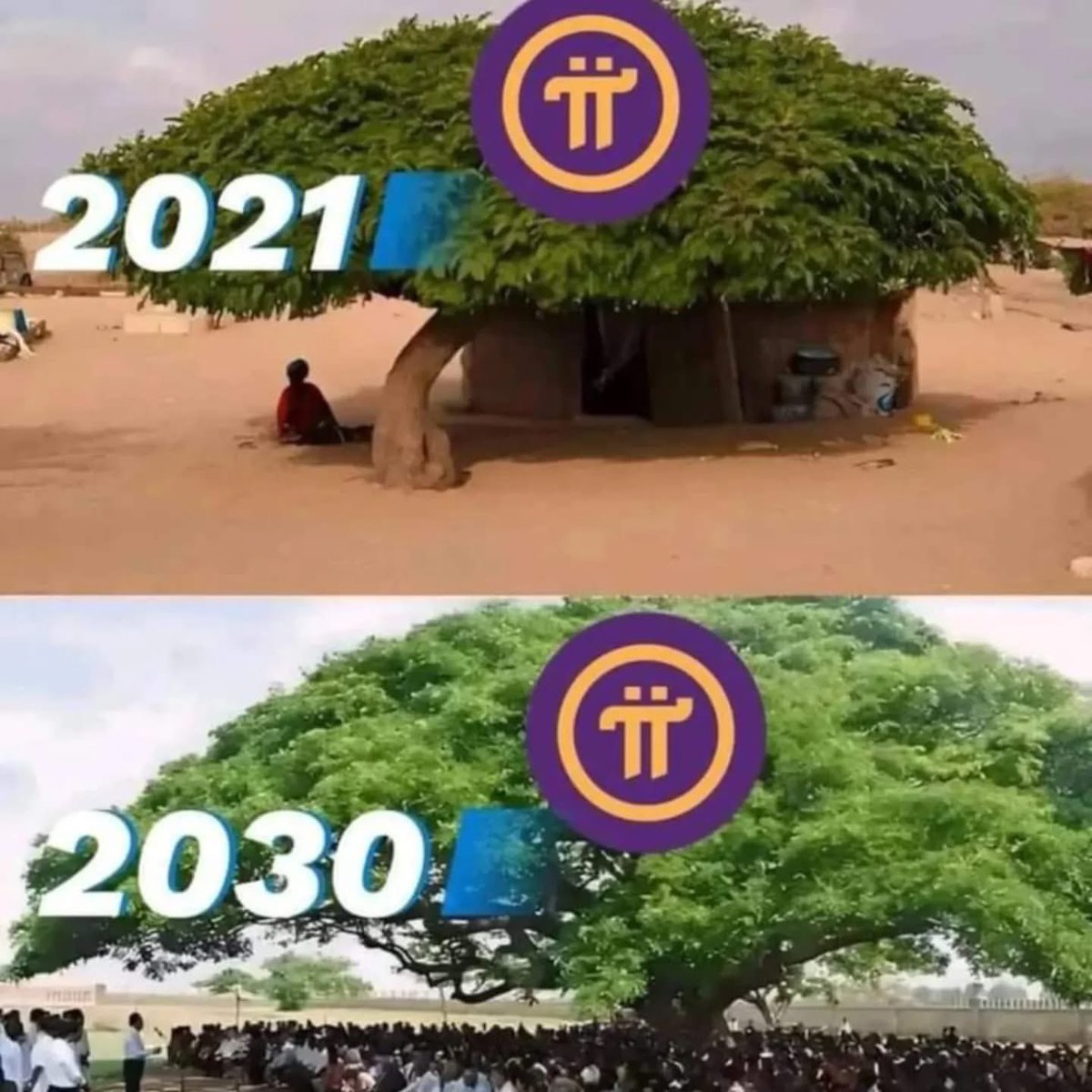Pi News tweet media