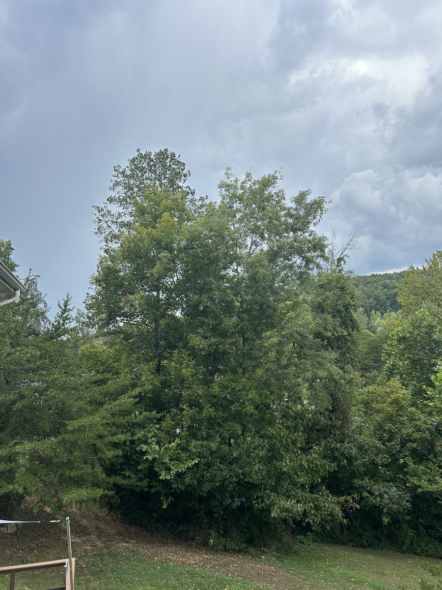 Cirren Jones (@cirren_jones) on Twitter photo <a href="/danpend3500/">Danny Pendleton</a> <a href="/jloganwxguy/">Justin Logan FOX 56</a> <a href="/Kentuckyweather/">Chris Bailey</a> <a href="/cjwxguy56/">Chris Johnson FOX 56 Weather</a> <a href="/thekyniche/">Johnnie Nicholson</a> <a href="/jsmithwx/">Jordan Smith</a> <a href="/GaudetWeather/">Dillon Gaudet</a> <a href="/BenWKYT/">Ben Beddoes</a> <a href="/AlexaMintonWX/">Alexa Minton</a> <a href="/NWSLouisville/">NWS Louisville</a> This is from my house in Somerset just now, no rain and thunder yet but it’s coming our way soon <a href="/danpend3500/">Danny Pendleton</a> <a href="/jloganwxguy/">Justin Logan FOX 56</a> <a href="/Kentuckyweather/">Chris Bailey</a> <a href="/cjwxguy56/">Chris Johnson FOX 56 Weather</a> <a href="/thekyniche/">Johnnie Nicholson</a> <a href="/jsmithwx/">Jordan Smith</a> <a href="/GaudetWeather/">Dillon Gaudet</a> <a href="/BenWKYT/">Ben Beddoes</a> <a href="/AlexaMintonWX/">Alexa Minton</a> <a href="/NWSLouisville/">NWS Louisville</a> This is from my house in Somerset just now, no rain and thunder yet but it’s coming our way soon