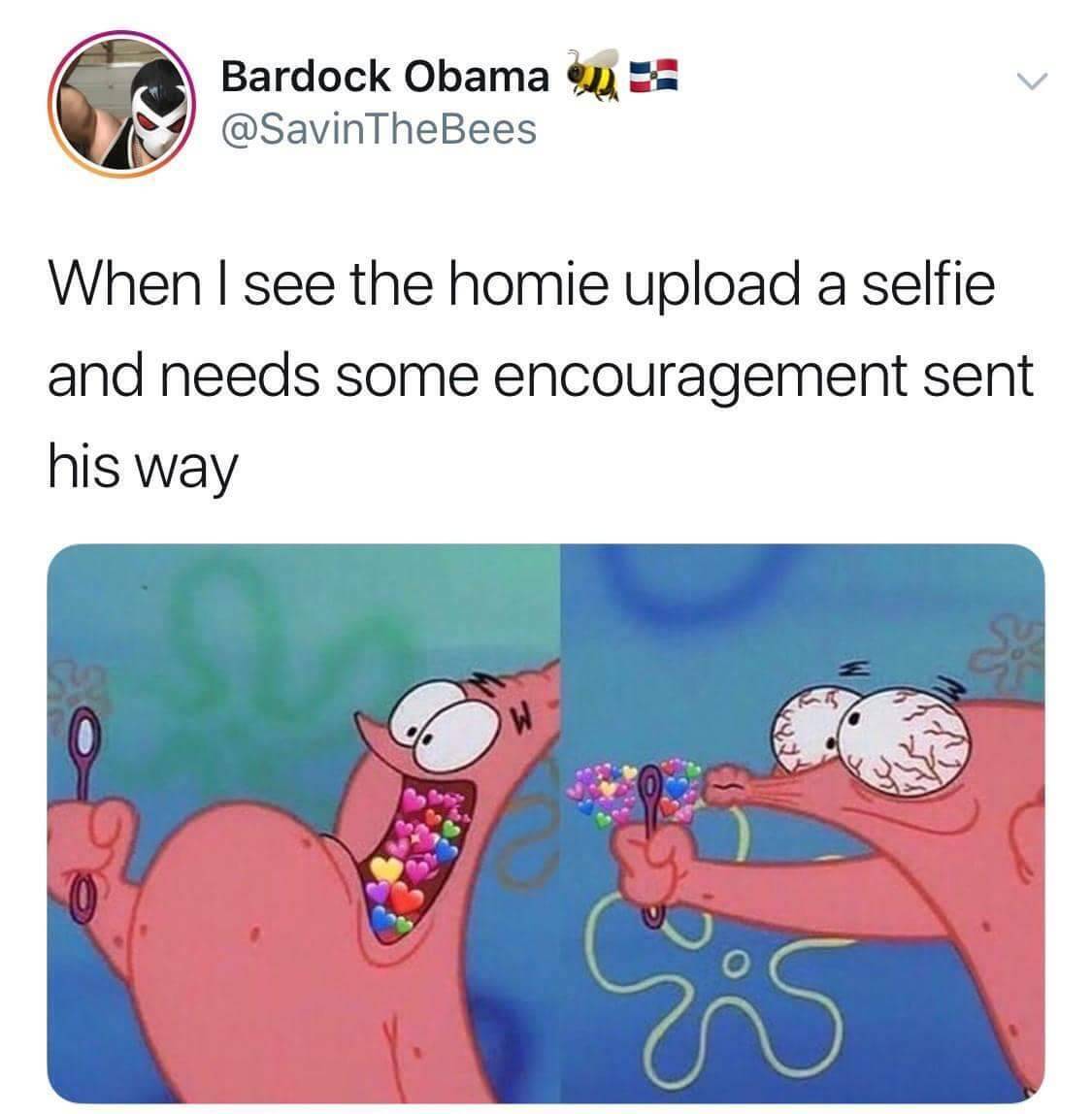 WholesomeMemes (@wholesomememe) on Twitter photo 