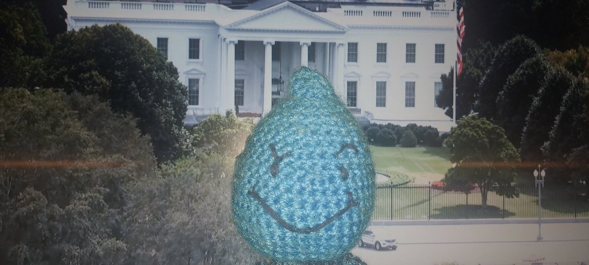 KropelBulBulBul's tweet photo. moja przygoda w bialym domu #politics #USACollapse https://t.co/eAy303ckV5