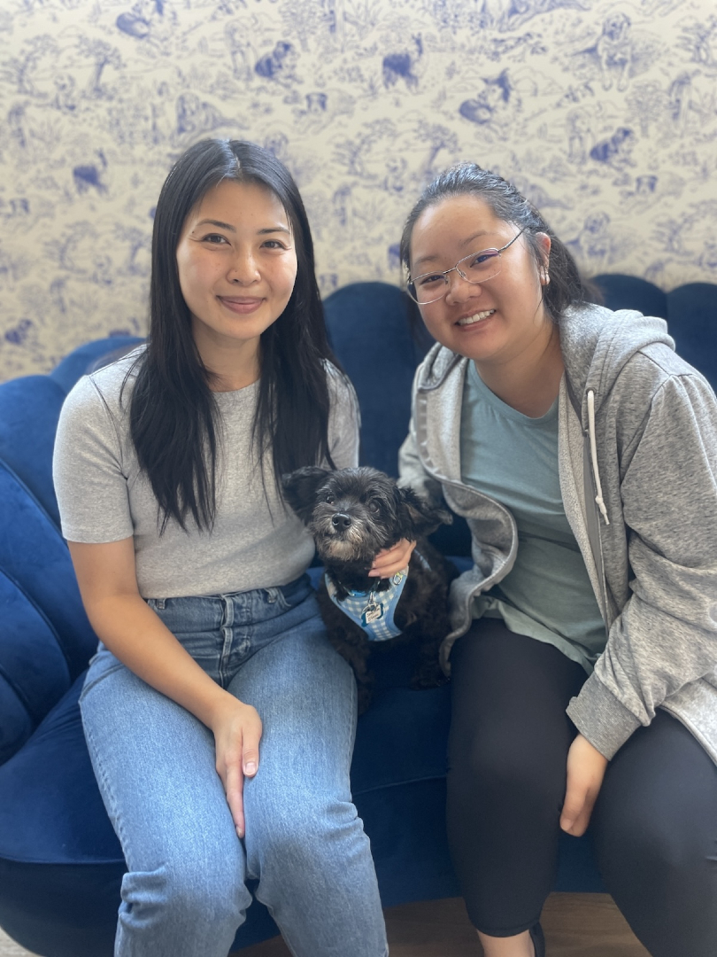 💥BIG HAPPY NEWS💥 106 senior dogs were adopted in August!!! Don't mind us, we're just ugly crying and launching tiny party hats into the air. 😱😭🥳