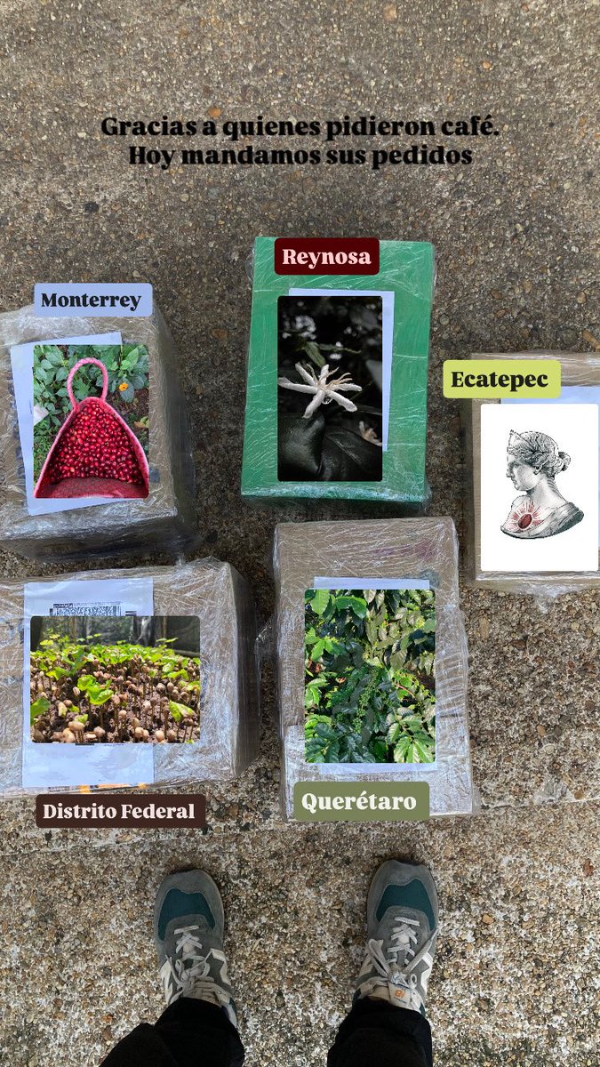 Hoy mandé cafecito por paquetería a:

-Monterrey 
-Reynosa
-Distrito Federal 
-Querétaro 
-Ecatepec 

Gracias a quienes pudieron su café.
