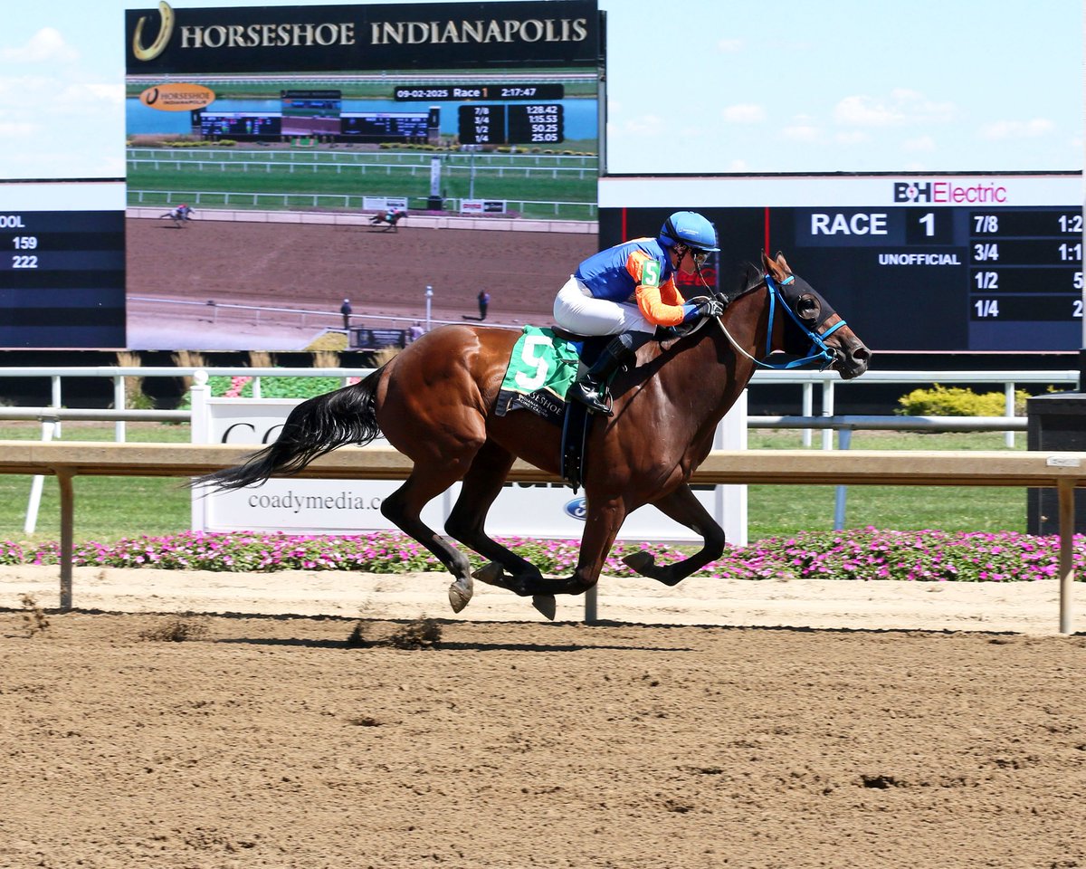 John G. Dooley (@johngdooley) on Twitter photo A total of $100,361 wagered on the $0.50 Early Pick 5 <a href="/HSIndyRacing/">Horseshoe Indianapolis Race Course</a> to start the card. MR SLEDGE HAMMER (Looking Cool) coasting home in the Maiden Juvenile Mile with <a href="/hannahsleahey/">Hannah Leahey</a> for Tianna Richardville on the front-running winner. Only MY LUNAR CHARM (2nd) tried to catch him. A total of $100,361 wagered on the $0.50 Early Pick 5 <a href="/HSIndyRacing/">Horseshoe Indianapolis Race Course</a> to start the card. MR SLEDGE HAMMER (Looking Cool) coasting home in the Maiden Juvenile Mile with <a href="/hannahsleahey/">Hannah Leahey</a> for Tianna Richardville on the front-running winner. Only MY LUNAR CHARM (2nd) tried to catch him.