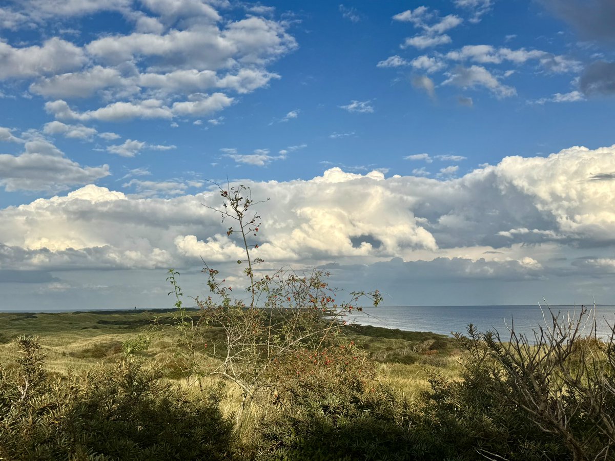 richardtkiewiet tweet media