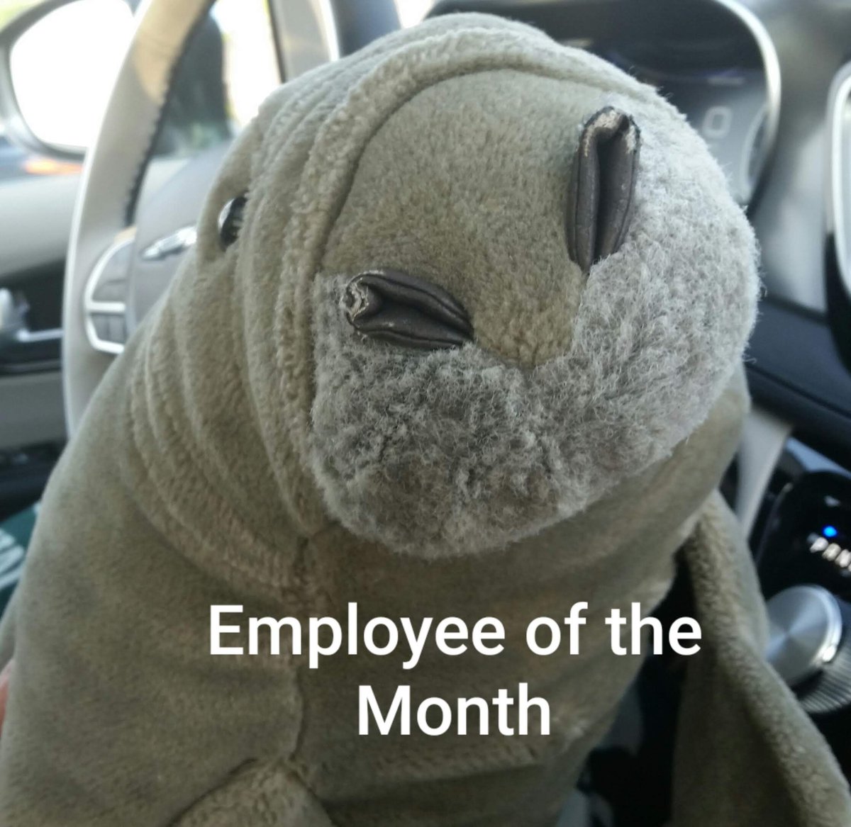 ⏳🖤空と星🖤⏳ tweet media