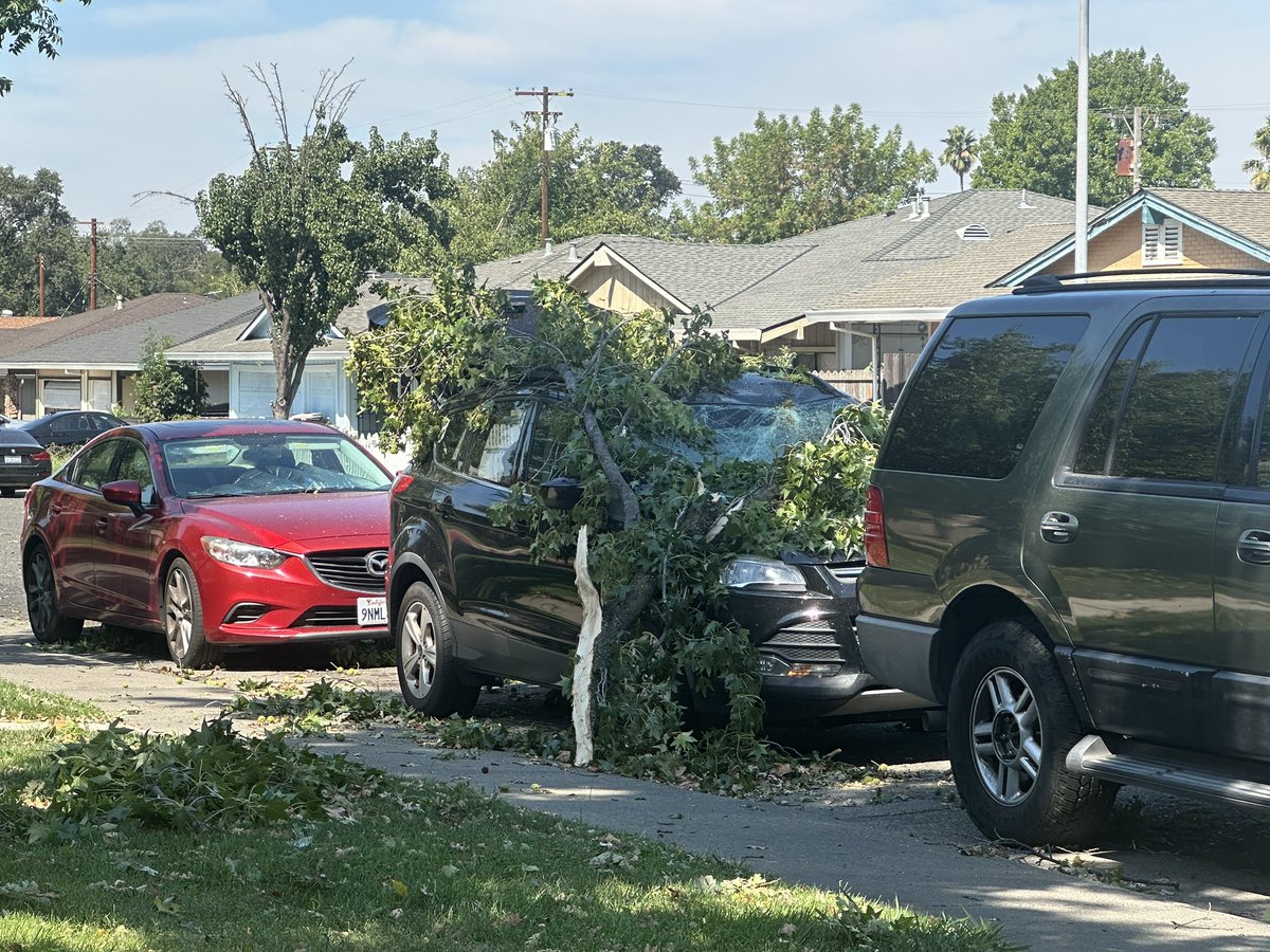 ‘Teleported right into the Wizard of Oz’: Residents in this Sacramento neighborhood, bordering Carmichael off Manzanita Avenue, are telling us about a “freak” wind event this morning, which sent trees and branches crashing down near homes and vehicles. <a href="/kcranews/">kcranews</a>
