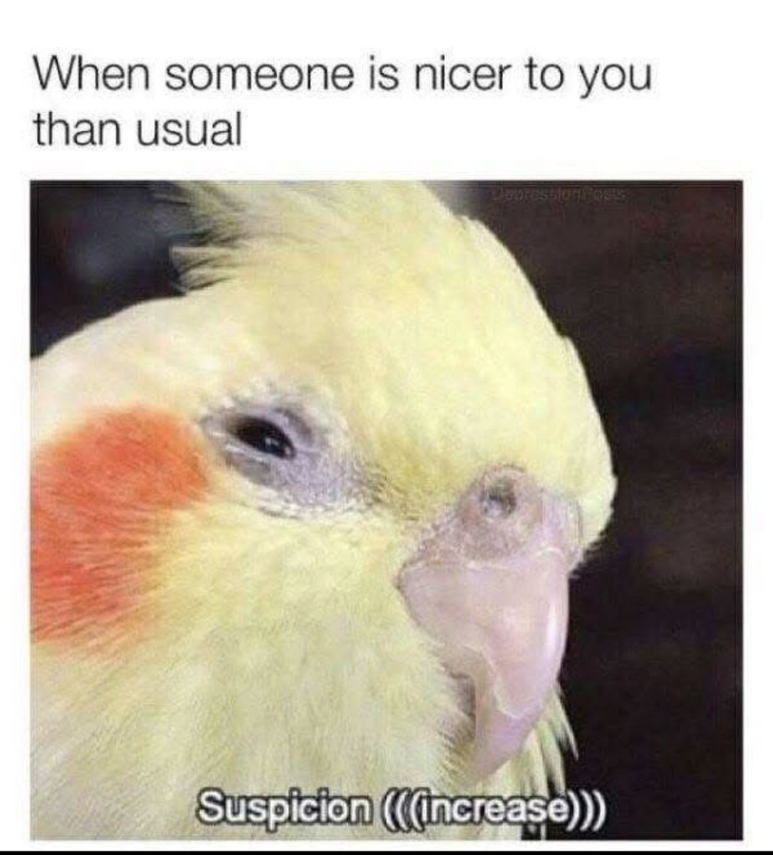 ADHD Memes (@adhdforreal) on Twitter photo 