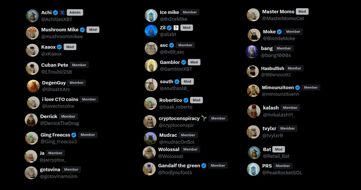 all these amazing community members 

all rocking a $momo profile picture 

and it's not even the end of day 1 

I truly believe this is something special we have here