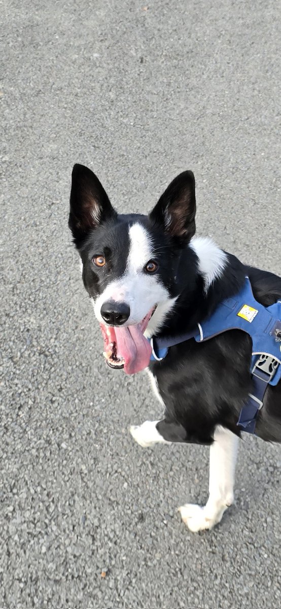 Neilotronic tweet media