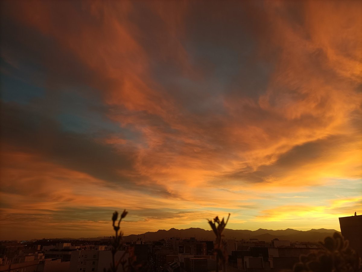 ༺LadγSikat༻🐾 tweet media