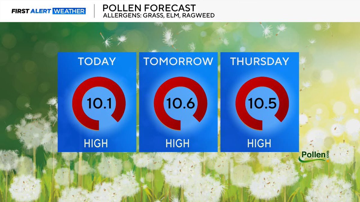 LBostwickWX's tweet image. Anyone else sneezing like a crazy? 🤧🤧

There&apos;s a high #pollen count across North Texas today and expected to stay high through Thursday... primary pollutants are ragweed, elm, and grass.

@CBSNewsTexas #dfw #DallasFortWorth