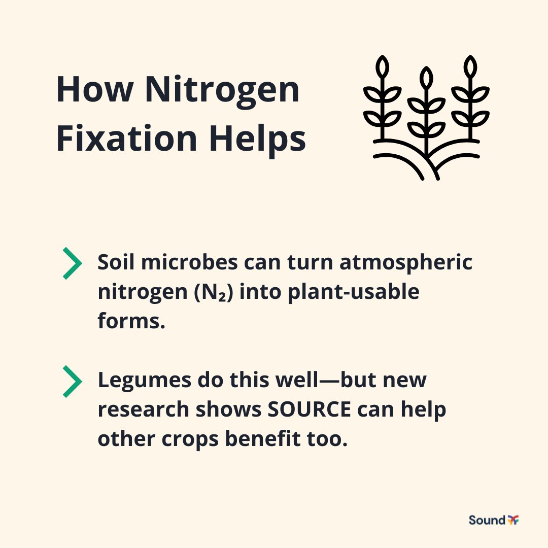 Are your crops getting enough nitrogen?
Spotting deficiencies early and supporting fixation can make all the difference.
✅ What deficiency symptoms mean
✅ How fixation works
✅ Tips to boost N uptake
Read more: bit.ly/3ISOrda
#NitrogenFixation #SoilHealth
