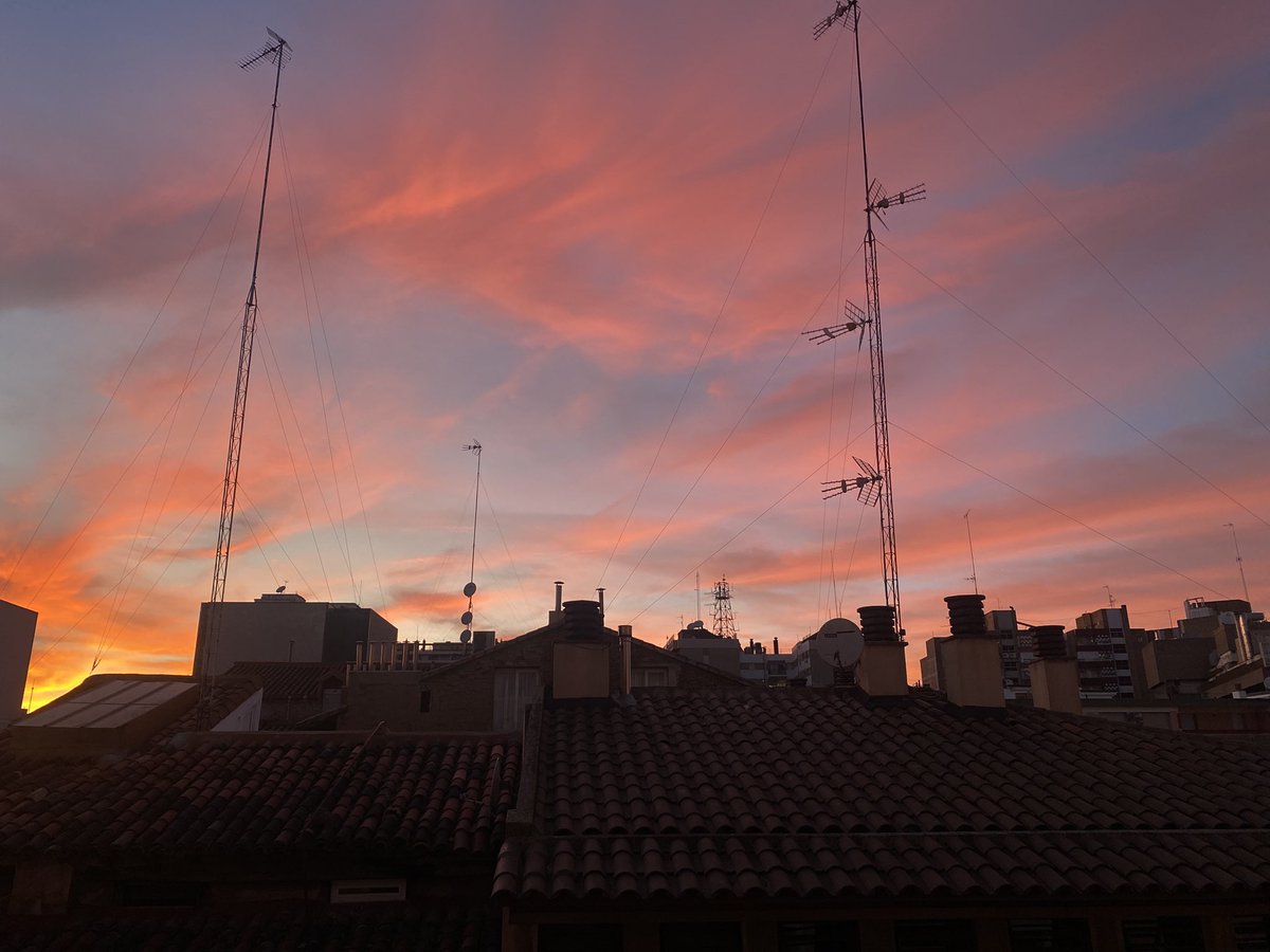 fan de los atardeceres ✨