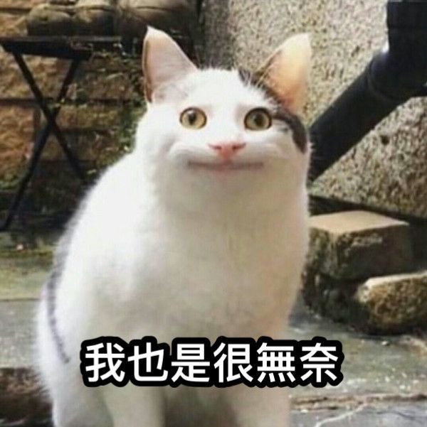 小映 Ruan tweet media