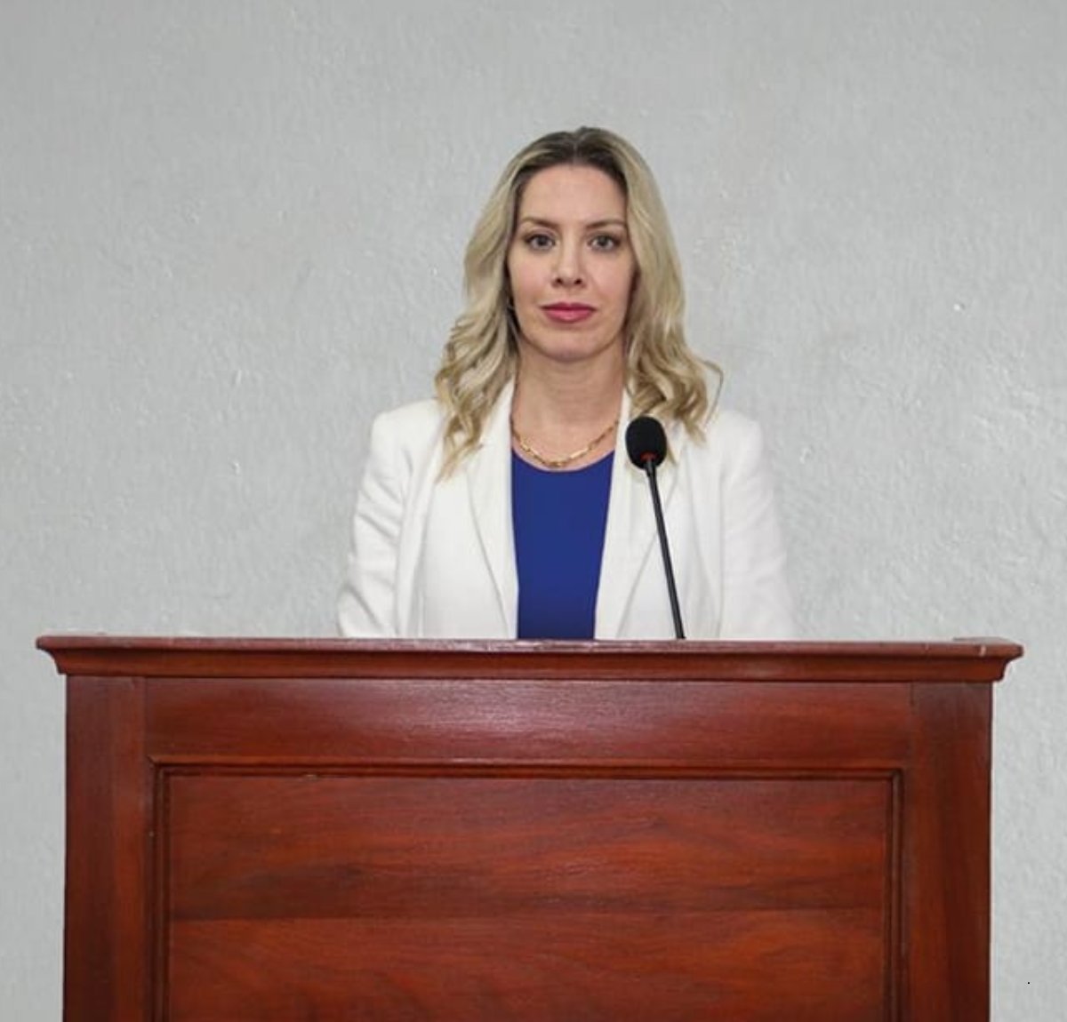 GuachireM's tweet image. Peritajes de voz confirmaron que la fiscala Belinda Bobadilla aparece en los videos filtrados de la causa “Mafia de los Pagarés”. El informe, realizado por el perito Pablo Vourliotis, descartó manipulación y estableció coincidencia vocal de alto nivel. Hilo 🧵