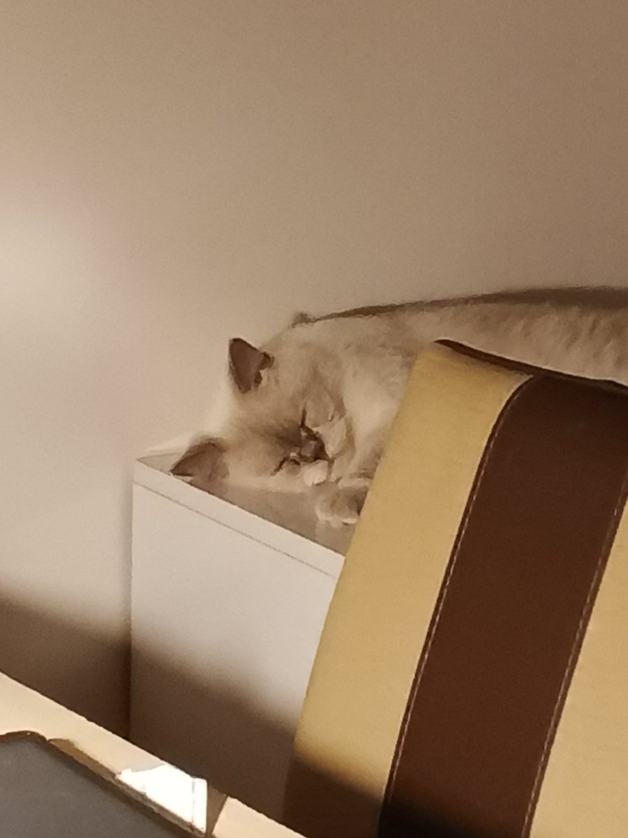 eski hayatımda çok mutsuzdum kimsenin umurunda değildim ama sonra ömürlük aileme kavuştum,artık prens gibi bakılıyorum ve dünyanın en tatlı rüyalarını görüyorum