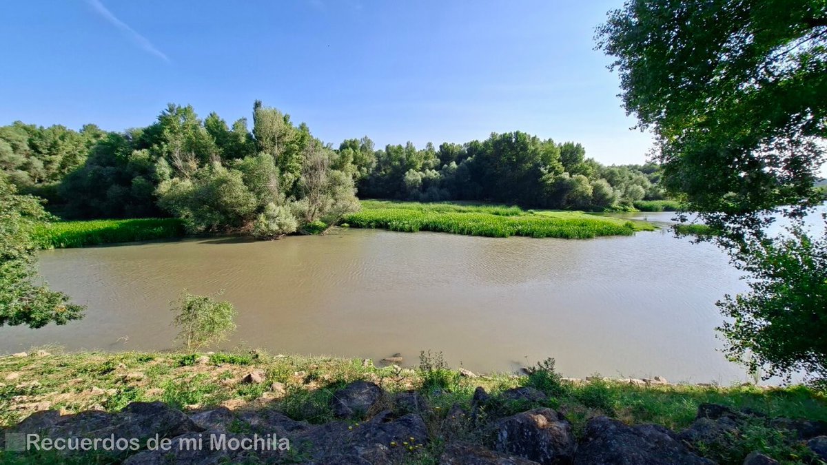¿Planeas visitar La Rioja? No te pierdas Alfaro, tierra de historia, naturaleza y buena mesa. Pasea por su casco histórico, descubre la Colegiata, la colonia de cigüeñas y disfruta la gastronomía riojana. #AlfaroesVino
bit.ly/3JOO6Zn 
<a href="/Pasionporalfaro/">Pasión por Alfaro</a>
<a href="/lariojaturismo/">La Rioja Turismo</a>