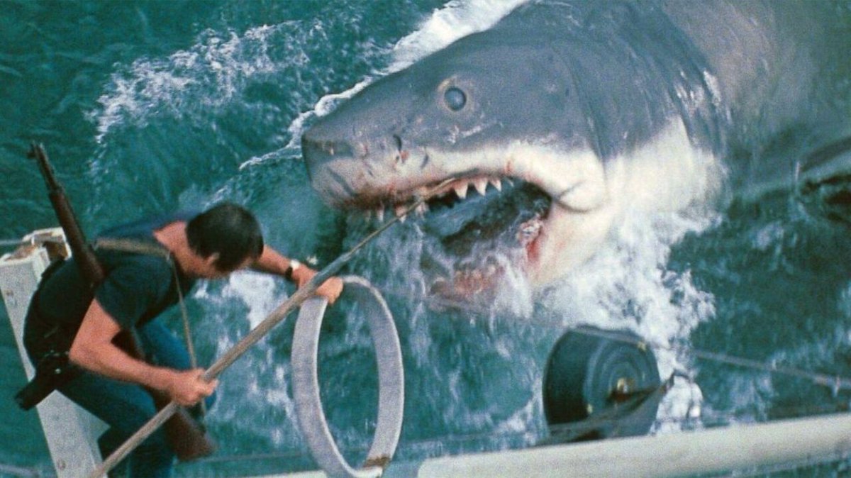 #NoticiasEV ¡El clásico Tiburón vuelve a morder la taquilla! 🦈🎬

 En su 50 aniversario, el relanzamiento se colocó en el segundo lugar, demostrando que las leyendas nunca mueren. ¡El cine clásico sigue vivo! 🙌 Mientras tanto, Weapons recuperó el primer puesto. 

#Cine #Tiburón