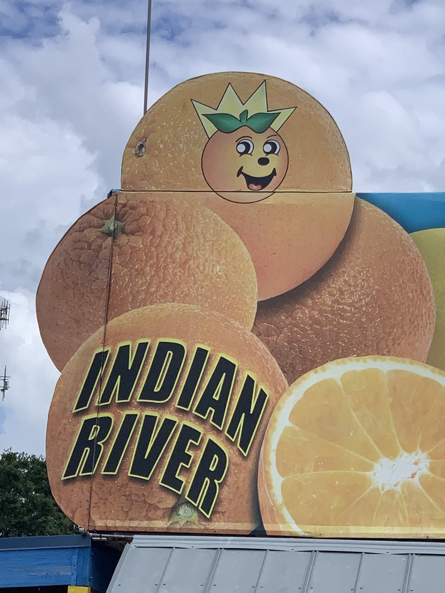 new citrus sona just dropped