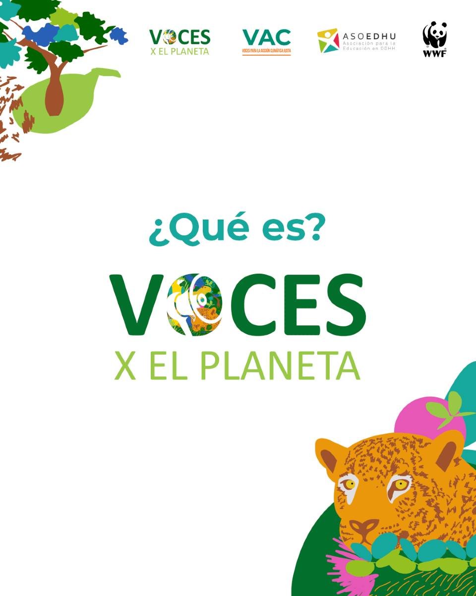 asoedhu's tweet image. 🎨🌱 ¡Ya está abierta la beca #VocesXelPlaneta!
¿Querés que tu arte sea parte de la lucha por la justicia climática en Paraguay? 🌎✨
👇 Con @WWFpy te contamos qué incluye y cómo postular.
