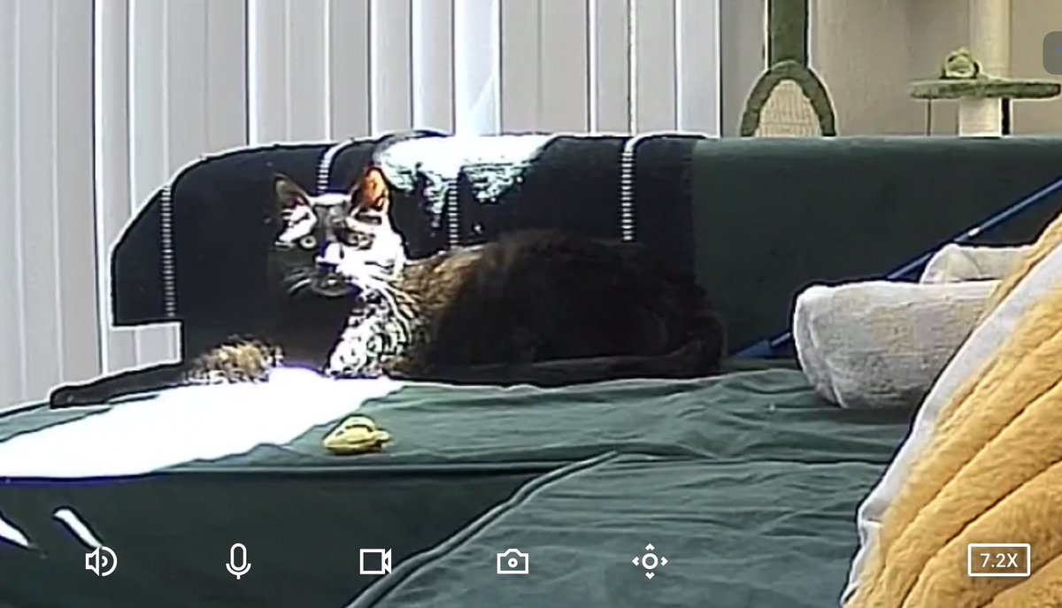 WHY DOES HE LOOK TRAUMATIZED