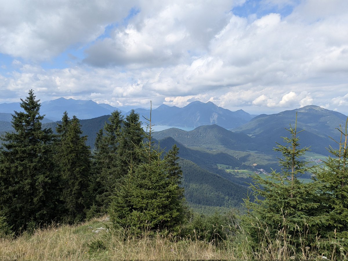 aelia1980 tweet media