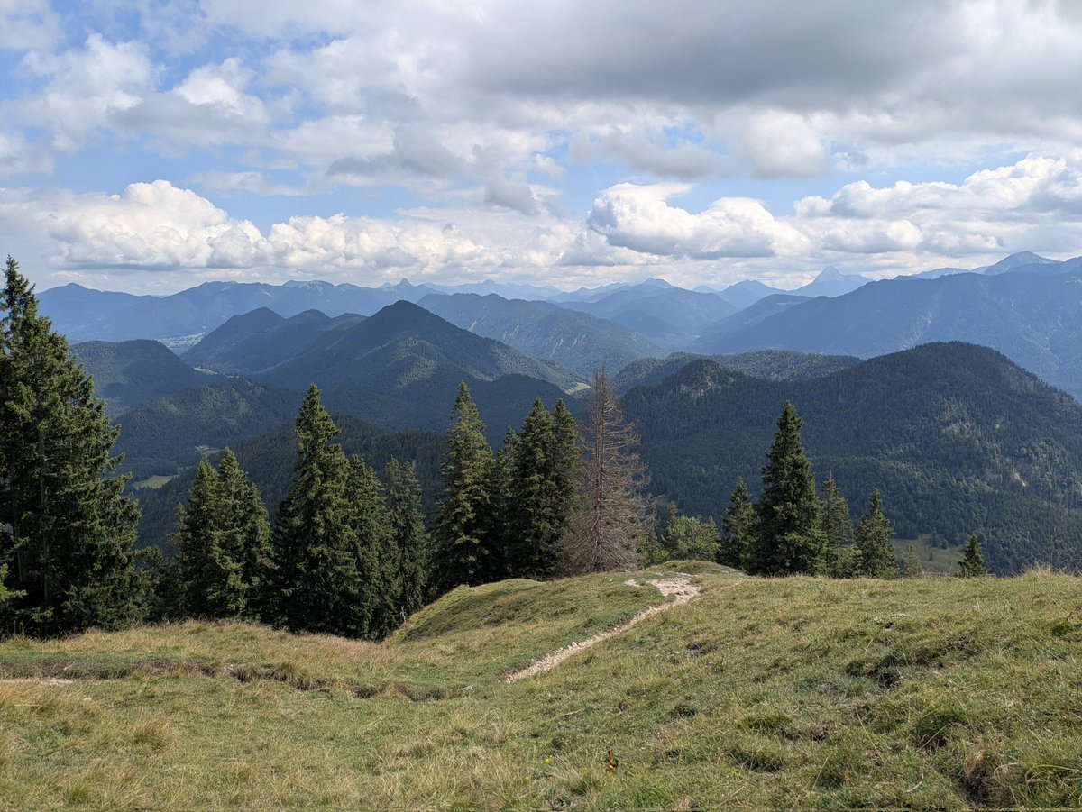 aelia1980 tweet media