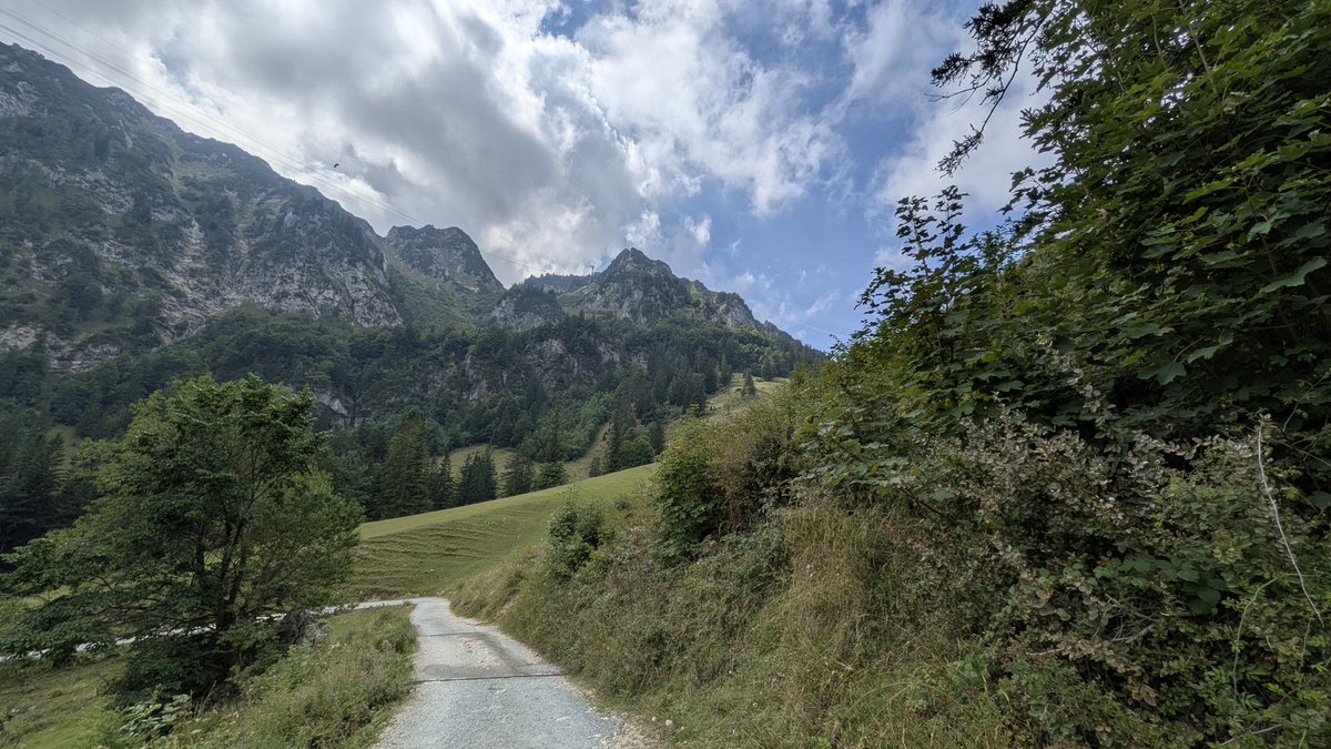 aelia1980 tweet media