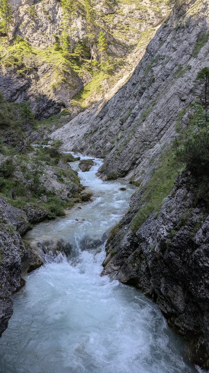 aelia1980 tweet media