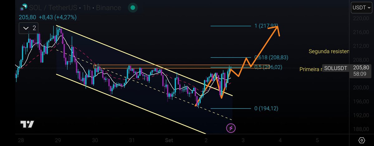 Racional se consolidando pessoal, chegamos no  primeiro alvo na resistência de 0.5% de Fibo em  $206, próxima parada deve ser em $208.9.

Caso realmente o preço consiga ganhar estes patamares de preço, estará confirmada a reversão da tendência de baixa de curtíssimo prazo para