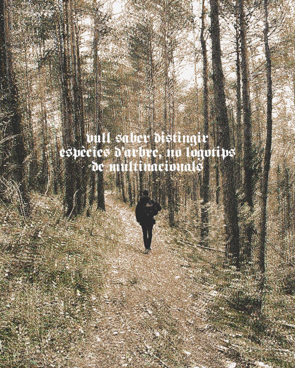 objectiu pel nou curs ✨

#dominguerisme