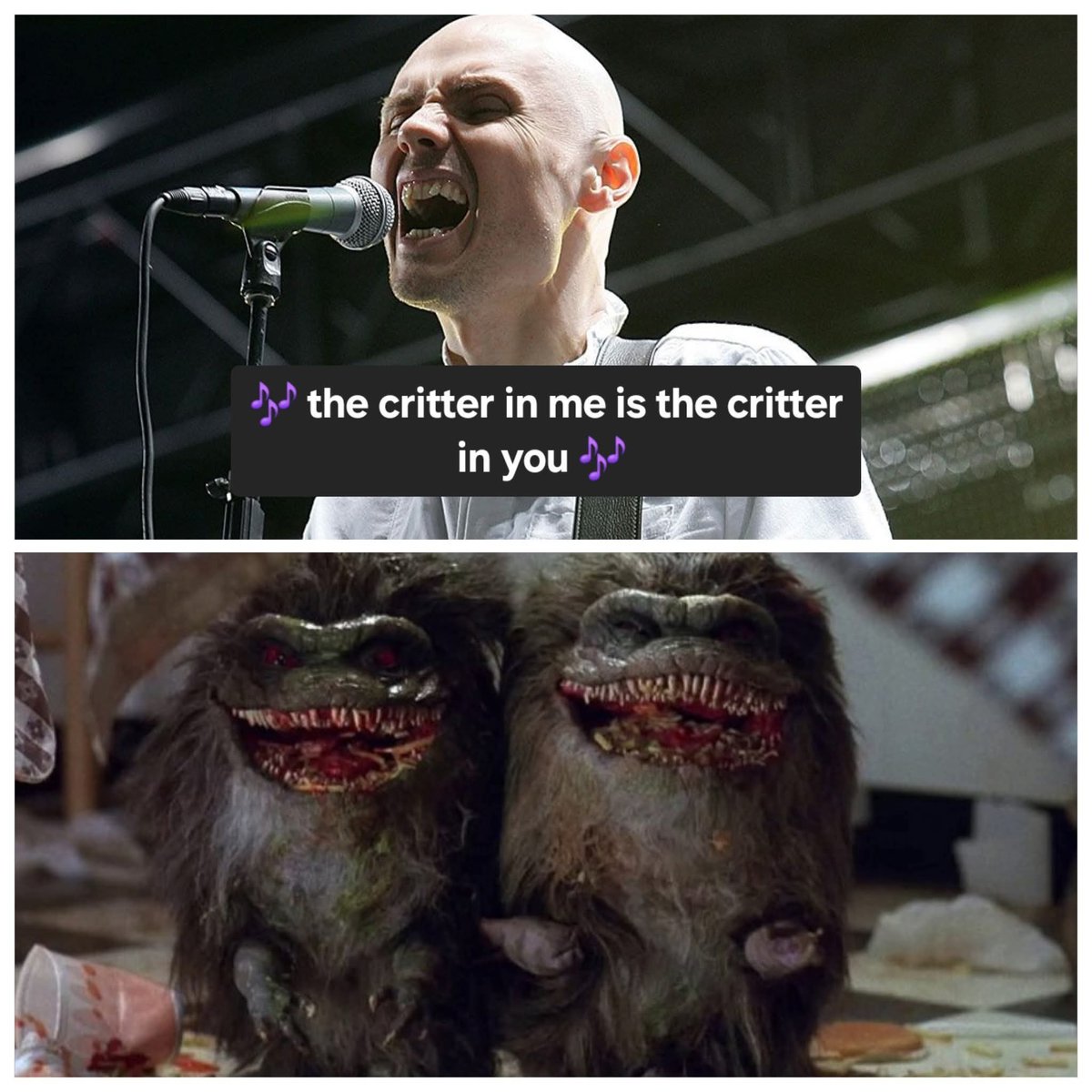 𝕻𝖊𝖙𝖊𝖗 𝕻𝖊𝖙𝖊𝖗 𝕻𝖚𝖒𝖕𝖐𝖎𝖓 𝕰𝖆𝖙𝖊𝖗🎃 (@socalpete) on Twitter photo 