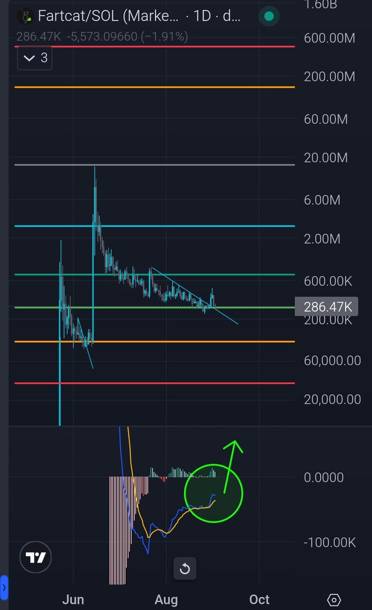 Cryptodgnz's tweet image. The next pump, in bullish territory??? 👀
If that happens, September and October will be epic for #FartCat! 🙌

🐈💨

#Crypto #Bitcoin #memecoin