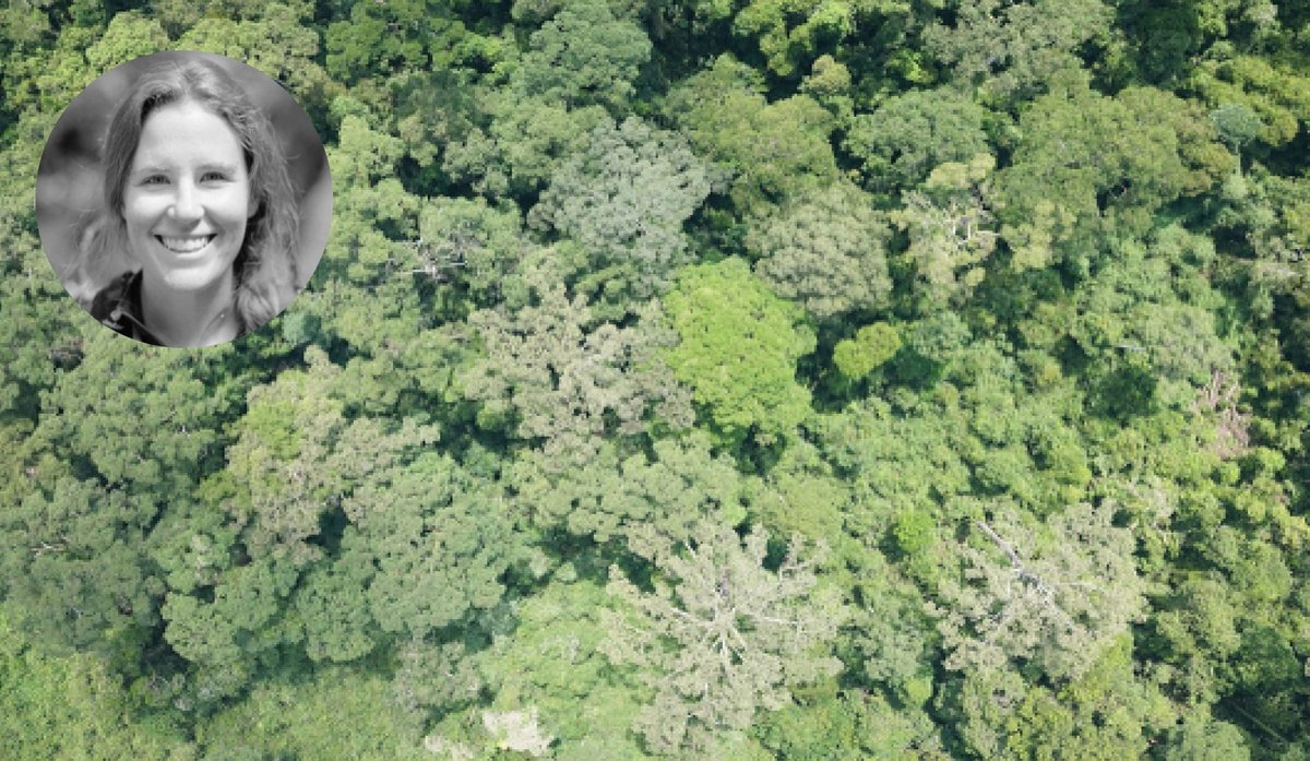 On Thu, Oct 2 @ 11am ET, join us for a virtual science seminar with <a href="/Cambridge_Uni/">Cambridge University</a>'s Dr. Adriane Esquivel-Muelbert: Forest Ecology for a Changing Planet. Free + open to all. #ecology Register: eventbrite.com/e/forest-ecolo…