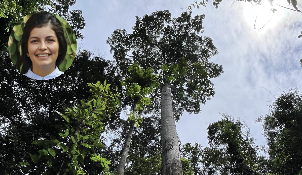 On Thu, Sep 25 @ 11am ET, join us for a virtual science seminar with <a href="/caryinstitute/">Cary Institute</a>'s Dr. Vanessa Rubio: The Role of Stochastic and Deterministic Processes in Forest Dynamics. Free + open to all. #ecology Register: eventbrite.com/e/the-role-of-…