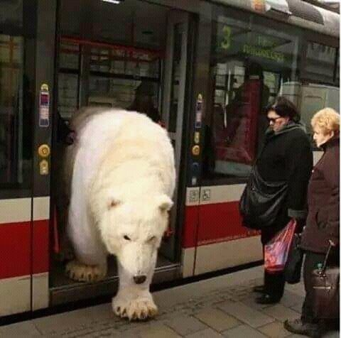 BrianMcAskillRBLX tweet media