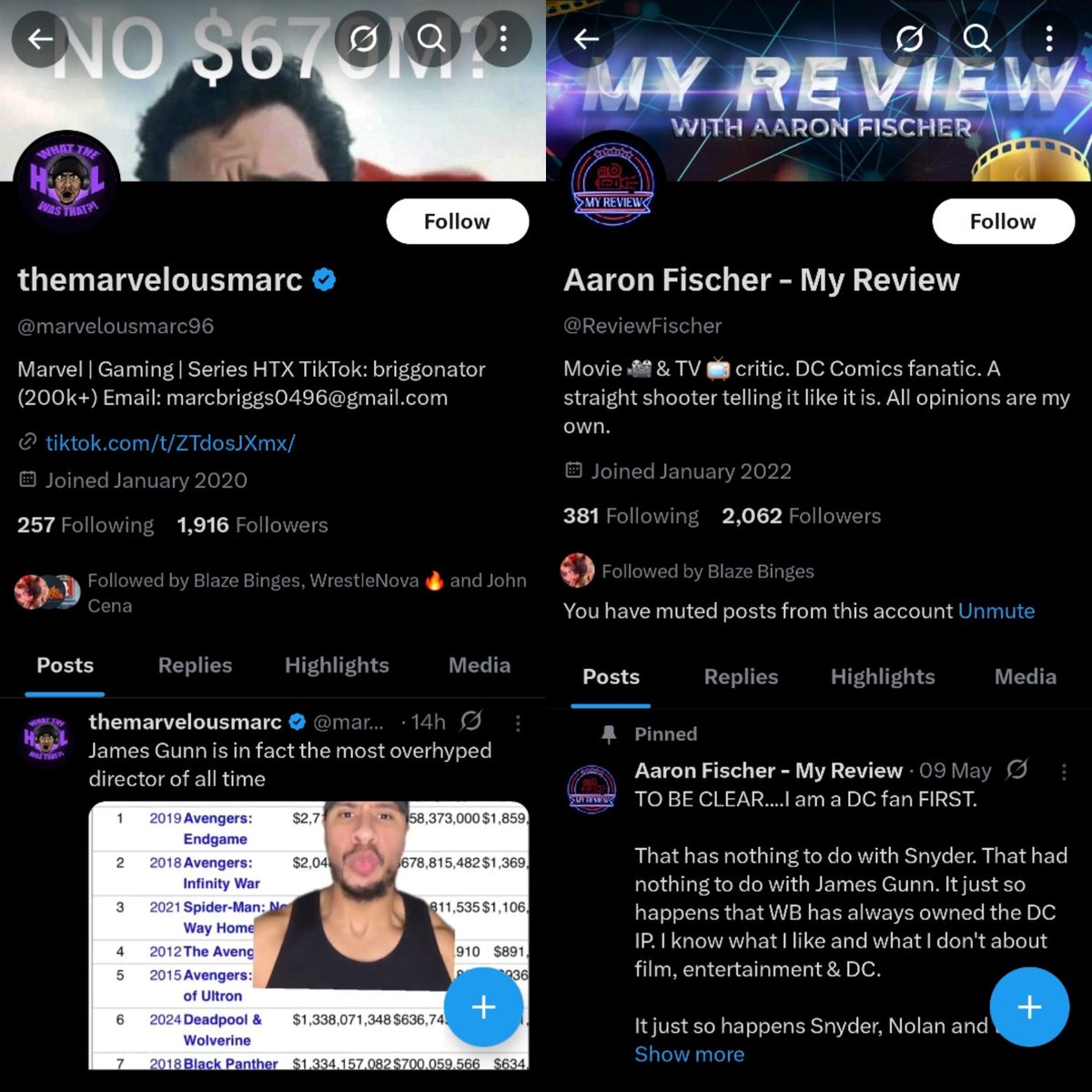 Don't interact with marvelousmarc96 (A pretend Marvel fan) and ReviewFischer.  Yeah, they're from a Snyder Cult.  But let's just say they're bunch of whiny little b**ches, that wants DCEU back.