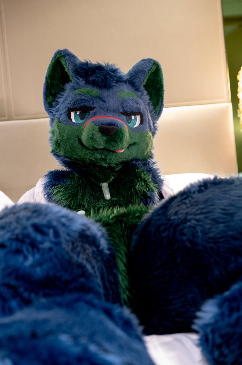 Lonely night…?

🐾: Me!
📸: <a href="/Turquobitbit/">Turquo cabbit🐰</a> 
🪡: <a href="/KemoTianou/">天偶毛作🔜Infurnity</a> 

#FursuitEveryday