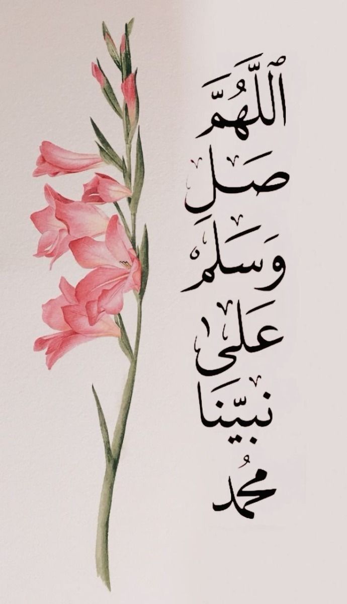 Muhabbet râhını seyrân ederken
Göründü nûr-ı dîdâr-ı Muhammed
Saâdet hırkası deste verildi
Diyelim cân u dil ile salavât

Âdile Sultan

#Mevlid1447