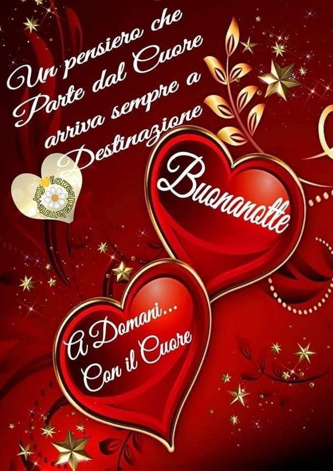 Buonanotte e sogni d’oro miei cari amici/amiche, a domani e riposa bene 😘😴💤✨💫⭐️
#BuonanotteATutti