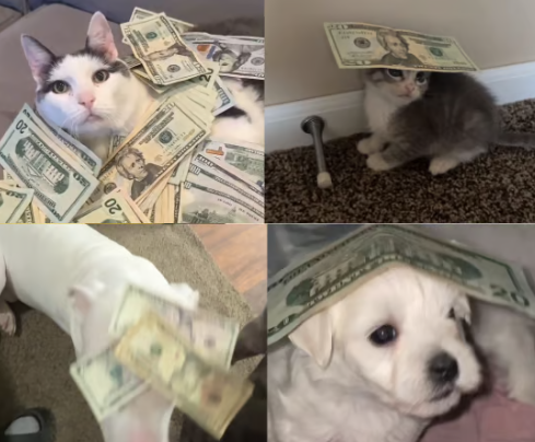 joshcki's tweet image. This Trend is going viral on TikTok,

12,800 videos
50 million + views
and increasing rapidly

ill put a hunnit - $100

ca:
3f1CgWM9hDDLR3VK74heUfWjg4C6ssGmbNuvYiVJpump

tiktok.com/music/original…