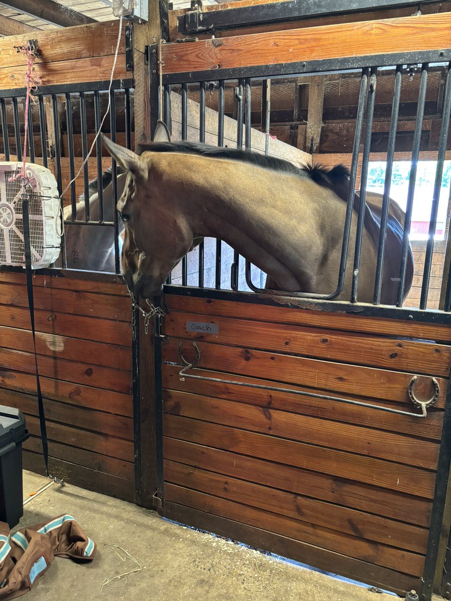 Coach Adams and Zinger